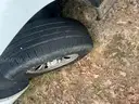2006 Chevrolet Silverado 1500 LS 2WD