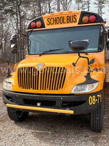 2009 International 3000