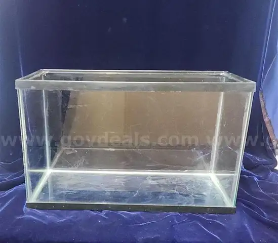 Glass tank. No lid