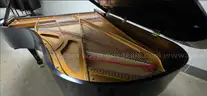 Charles R. Walter Grand Piano