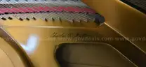 Charles R. Walter Grand Piano
