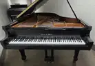 Charles R. Walter Grand Piano