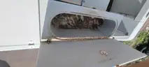 25 walkaround boat and trailer
