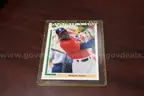 1991 Upper Deck Michael Jordan Baseball Card