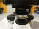 Nikon Eclipse E600WPOL Polarizing Microscope