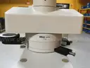 Nikon Eclipse E600WPOL Polarizing Microscope
