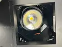 2 Intense Gravity Downlight Fixtures