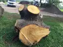2 Large Pieces of English Oak Logs