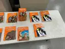 McGraw-Hill SRA Reading Mastery Curriculum Grade 1 Set