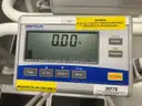 4 Befour Professional Healthcare Scales