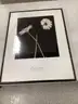 lot of Framed Pictures