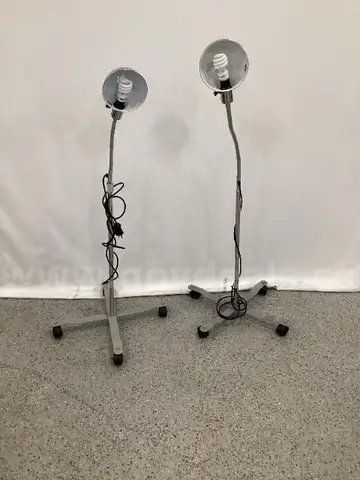 Two Portable Luminaire Lamps