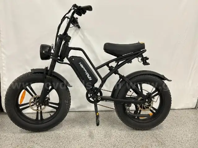 HappyRun Electric Bike