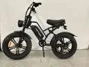 HappyRun Electric Bike