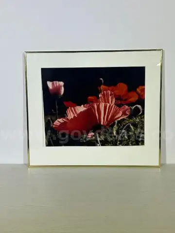 "Poppies"  Mark Tade