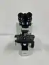 Olympus BX40F4 Microscope