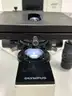 Olympus BX40F4 Microscope