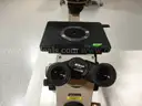Nikon Diaphot Inverted Phase Contrast Microscope with 4 Objectives