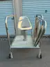 STAINLESS POOL STAND WITH ARM RESTS