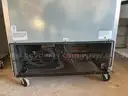 TRUE DOUBLE DOOR FREEZER