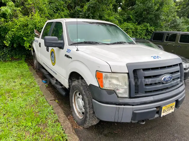 2010 Ford F-150