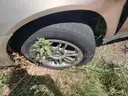 2002 Honda Accord