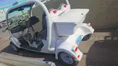 Lot of 3 Electric GEM e4 Carts, Includes Utility Bed and Cargo Variants