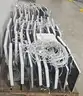 Apple Display Monitor Units (51 Units)