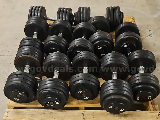 Assorted Rubber Dumbbells