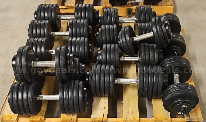Assorted Rubber Dumbbells