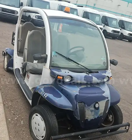 2007 GEM e4 Electric Cart