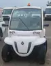 2009 GEM E6 Electric Cart.
