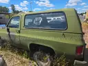 1986 Chevrolet D10