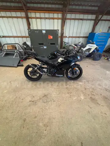 2019 Kawasaki Ninja 400
