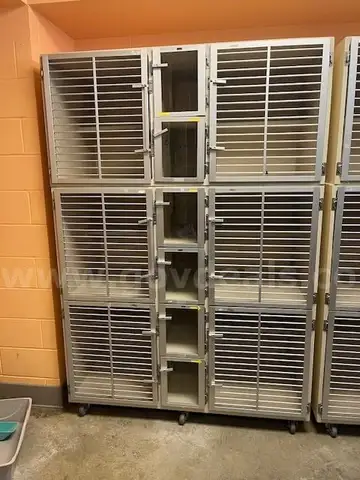 Six (6) Cat Kennels