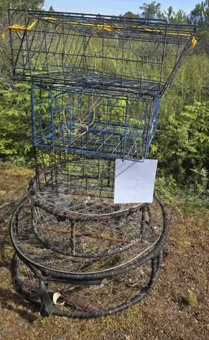 Dungeness Crab Pots (*Petersburg, AK*)