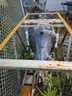 2017 Yamaha 300hp Outboards (*Petersburg, AK*) DPSLA IRIS