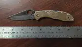 Spyderco Delica 4 Knife (Juneau, AK)