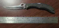 Spyderco Catcherman Filet Knife (Juneau, AK)