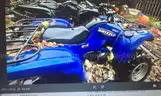 Yamaha Grizzly 550 (*Haines, AK*)