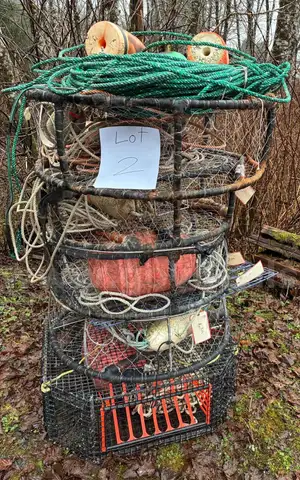 Dungy Crab (*Sitka, AK*)