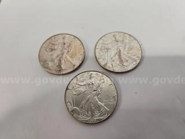 1999 1oz. Silver Dollar Coins (Anchorage, AK)