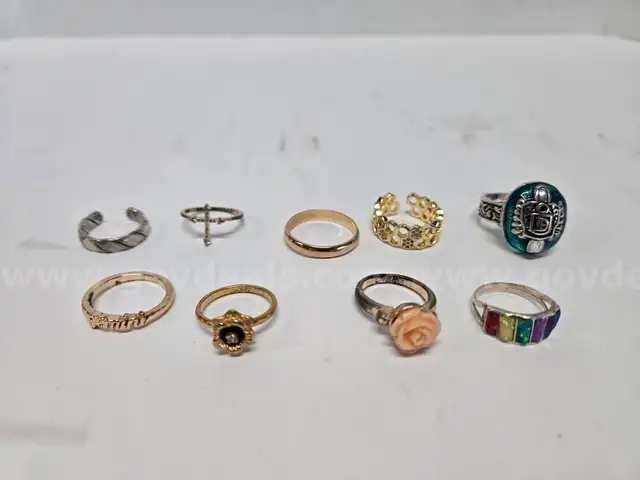 Assorted Rings (Anchorage, AK)