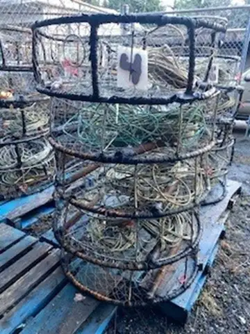 Commercial Dungeness Crab Pots (Ketchikan, AK)