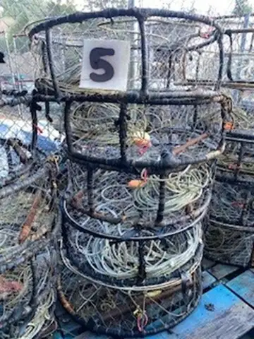 Commercial Dungeness Crab Pots (Ketchikan, AK)