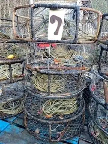 Commercial Dungeness Crab Pots (Ketchikan, AK)
