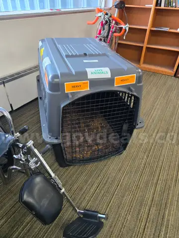 Large Dog Kennel (Anchorage, AK)