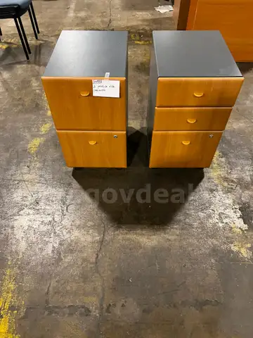 2 Mobile File Cabinets