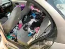Lot of 3 Seized Vehicles