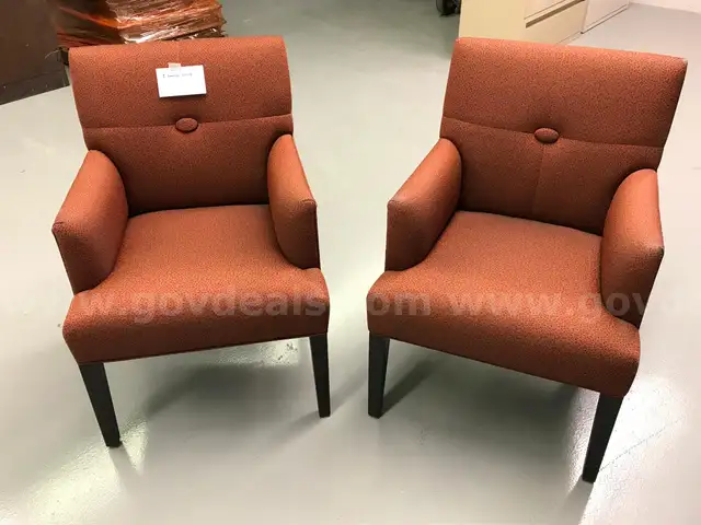 2 Lounge Chairs